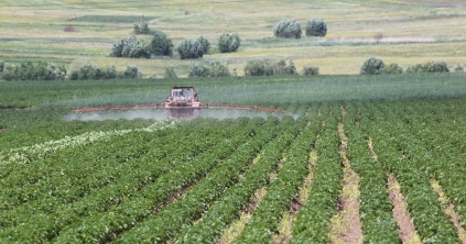 A csökkenés jelentős és folyamatos